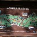 2023년 12월 10일 대공원 솔마루길 & 남산 산책 이미지
