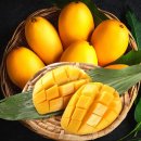망고 이미지