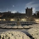 아름다운시절 | 아름다운 시절을 지나왔구나🗓️