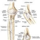 이유한의원 이미지
