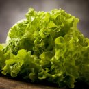 무지개푸드 이미지