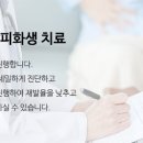 위튼한의원 이미지