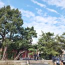 명품구제여행 | 서울 여행 동묘 구제시장 시간 위치 빈티지샵 구경하고 득템하기