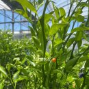 기일농장 이미지