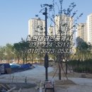 현대공원 앞 이미지