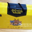 삼시대 어린이 첫 흑삼 금흑키즈 금산흑삼의 영양을 그대로~