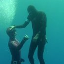 다이브11 이미지