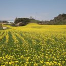 상하 유남목장 이미지