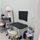 퍼피얌 그루밍 이미지