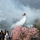 인왕산서 불… 서울시내 산불에 가슴졸여건조한 날씨에 강풍… 전국 35곳에서 산불 이미지