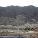 원동기사 이미지