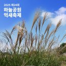 마포 하늘공원 2025 서울 억새축제 기간 주차 및 행사