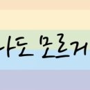 이니지아 이미지