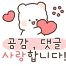 푸수수잡화점 이미지