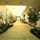 아이플렉스 이미지