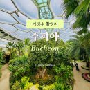 올리브원 | 부천식물원 수피아 부천 실내식물원 추천