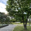 라온하제(즐거운 내일) 이미지