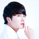 필립스(장미) 이미지