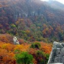 단풍약국 Daum카페