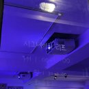 시그네이처리프 | 전대 정문 카페 - 시그네이처 리프 (진짜분위기깡패)