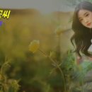 꽃씨 이미지