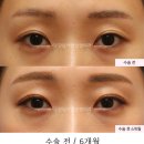 서연성형외과의원 이미지