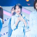 41 이미지