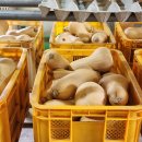회포 - 서구 건지로 264 | 회포