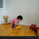 해피멍멍이 이미지