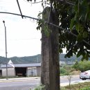 옥천리 당간지주 이미지