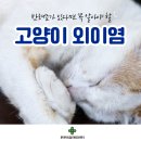 구리동물병원 이미지