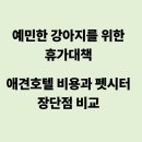 (신규)펫시터(산책·돌봄관리사) | 예민한 강아지를 위한 휴가 대책: 애견호텔 비용과 펫시터 장단점 비교