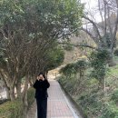 조각공원슈퍼