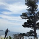 문섬·범섬천연보호구역 이미지