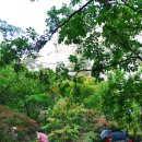 도봉-도봉-2008 이미지