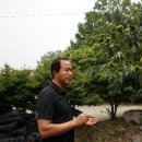 대보농장 이미지