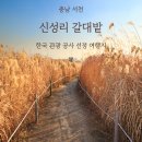 11월24일(일) 홍성 죽도 + 서천 신성리 갈대밭 트레킹 이미지