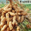 미르네농장 이미지