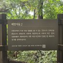 해맞이동산 이미지