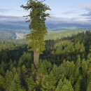 (주)큰나무 이미지