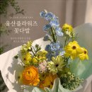 더플라워즈 - 성남시 분당구 불정로420번길 53 | 울산 삼산 꽃집 플라워즈, 동생 생일 꽃다발 주문 후기
