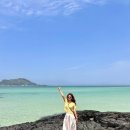 제주도 2박3일 여행 1일차 코스 총정리✨몸국부터 협재해수욕장, 흑돼지맛집, 알파카목장 추천코스