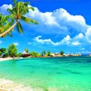 아름다움 이미지