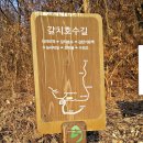 갈치호수길 이미지