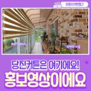 아방스커텐침구