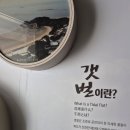 보령박물관 | 아이들과 방문하기 좋은 충남 보령박물관 주차 등 후기