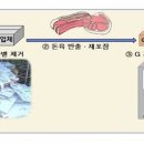 알마트축산