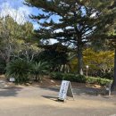 중문오렌지파크 이미지