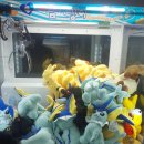 토이즈팝(Toys Pop) 이미지