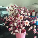 우리드라이방 이미지